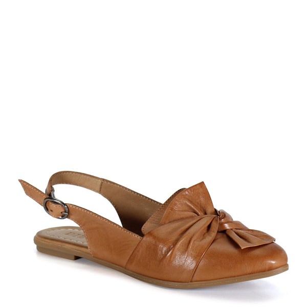 diba People Talk Coconut