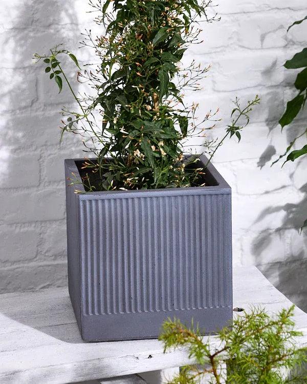 Dibor Agri Grey Ribbed Planter Collection