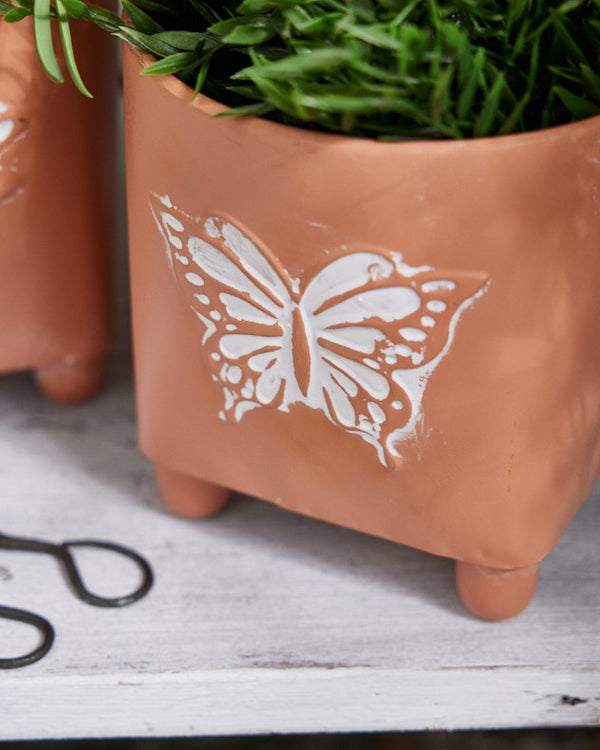 Dibor Akatsa Set Of 2 Insect Planters