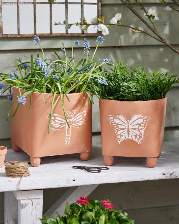 dibor Akatsa Set of 2 Insect Planters