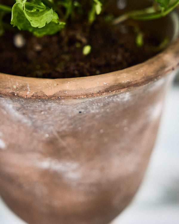 Dibor Almeria Rustic Urn Planters