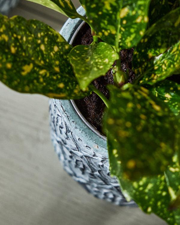 Dibor Ankara Small Plant Pot