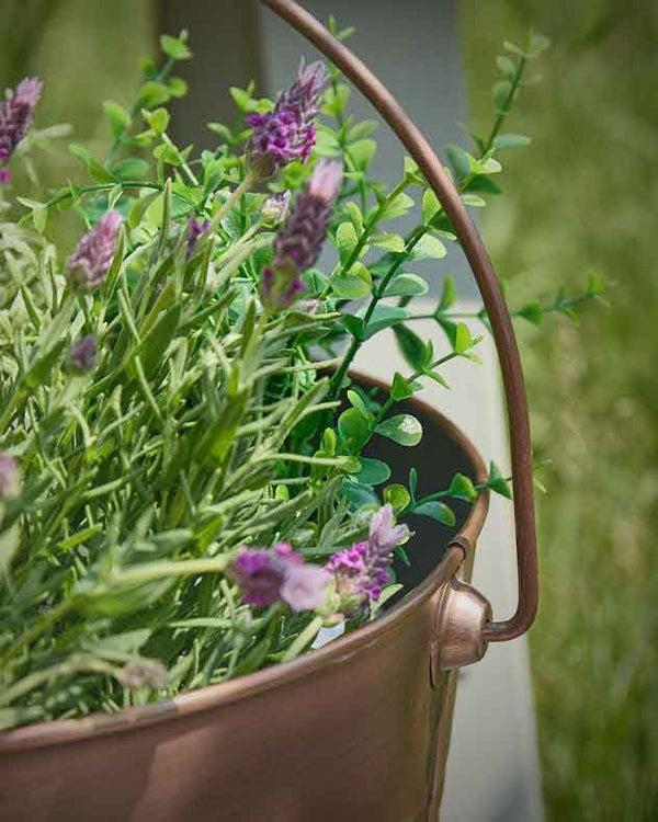 Dibor Antique Copper Bucket Planter