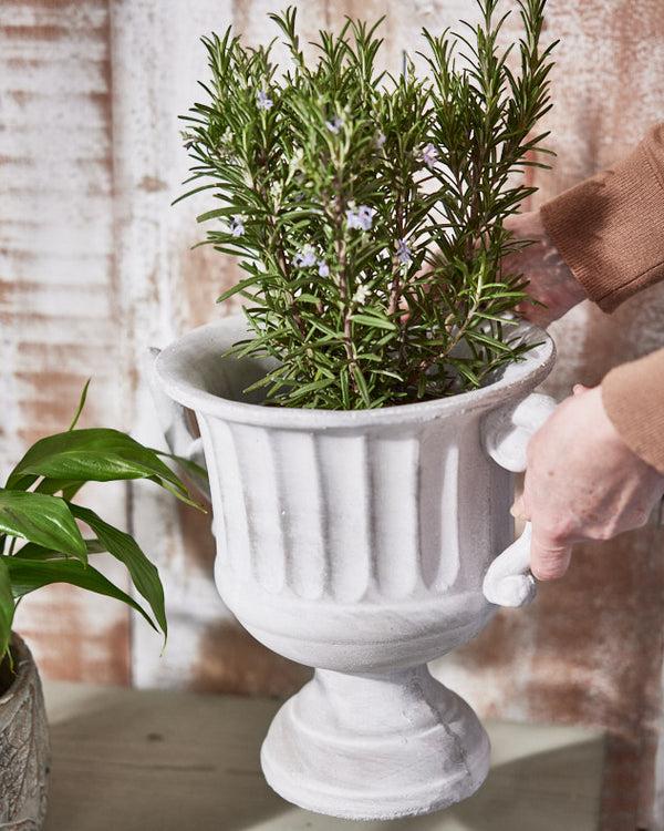 Dibor Arcadia Large Plant Pot