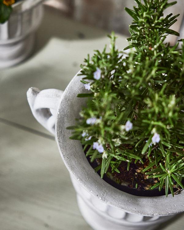 Dibor Arcadia Large Plant Pot