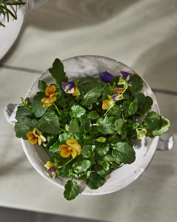 Dibor Arcadia Small Plant Pot