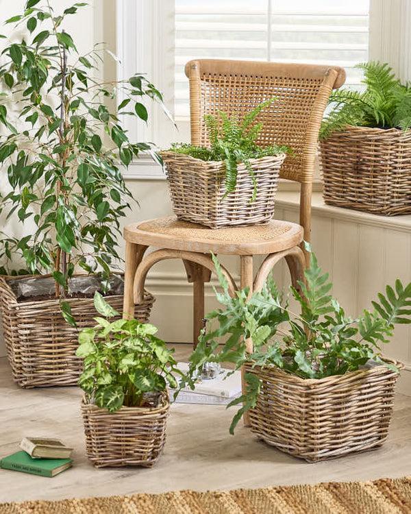 dibor Bala Square Lined Baskets