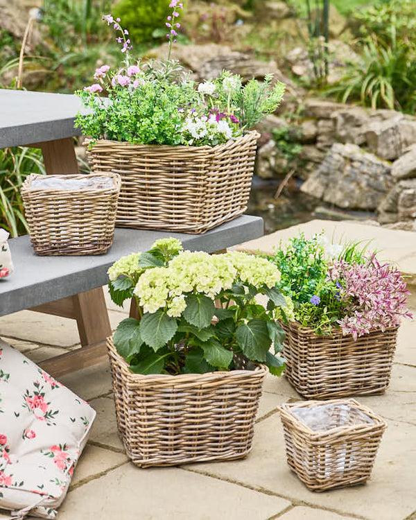 dibor Bala Square Lined Planter Baskets