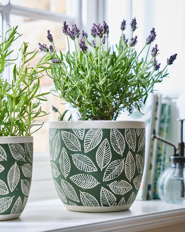 Dibor Basoa Green Leaf Patterned Planters