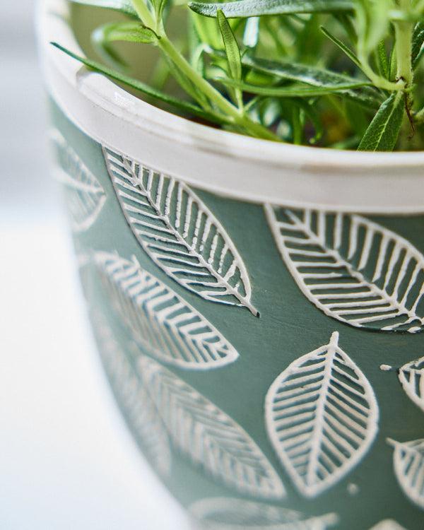 Dibor Basoa Green Leaf Patterned Planters