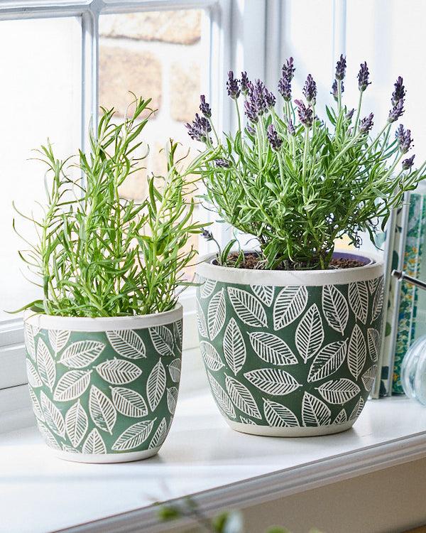 dibor Basoa Green Leaf Patterned Planters