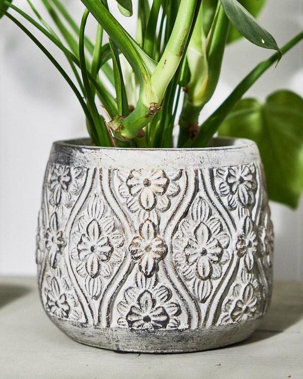 Dibor Bazille Floral Embossed Planters