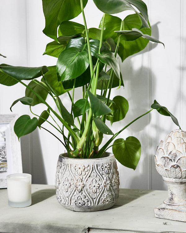 Dibor Bazille Floral Embossed Planters