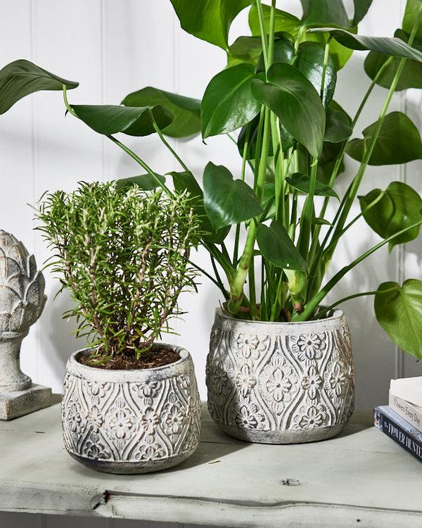 dibor Bazille Floral Embossed Planters