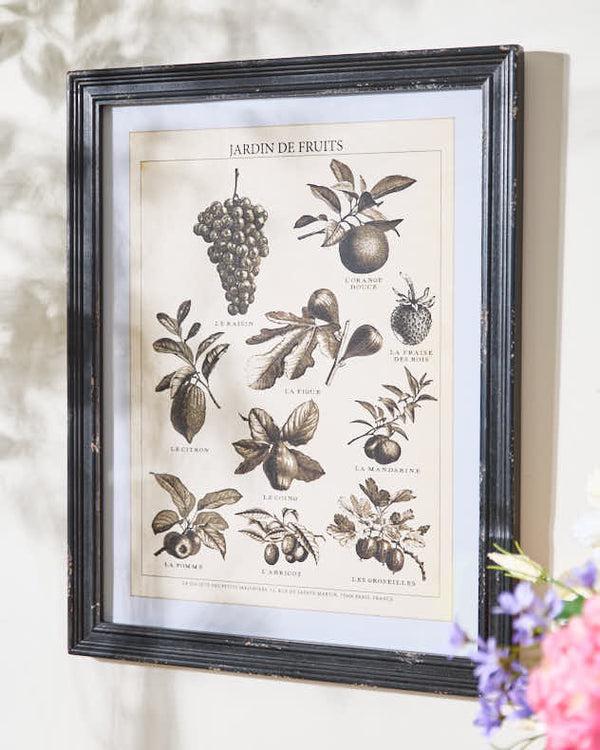 dibor Black and White Framed Print