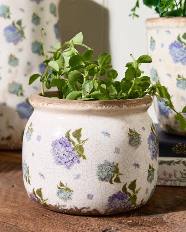 Dibor Blue Hydrangea Planter Collection