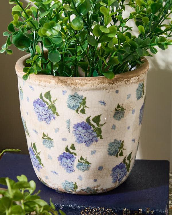 Dibor Blue Hydrangea Planter Collection