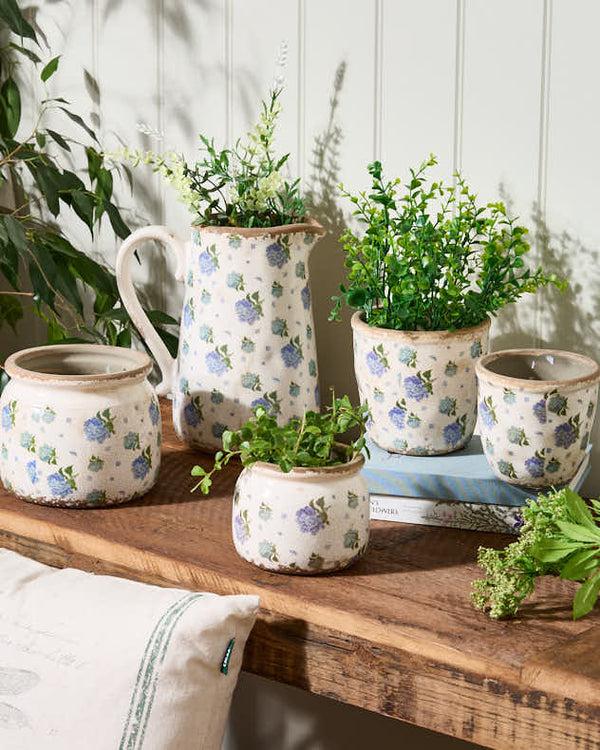 dibor Blue Hydrangea Planter Collection