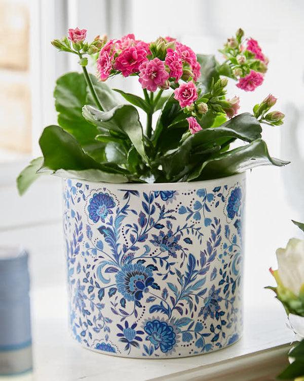 dibor Ceramic Lotus Flower Planter