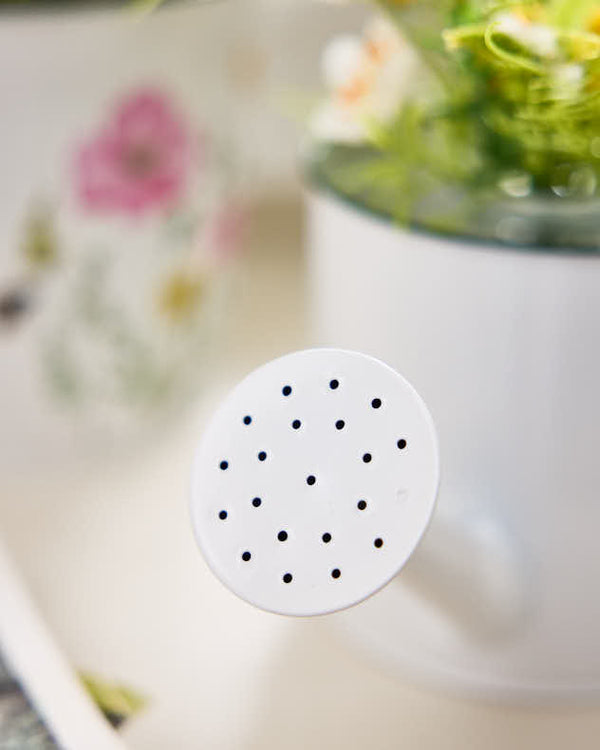 Dibor Cornflower Watering Can Planter