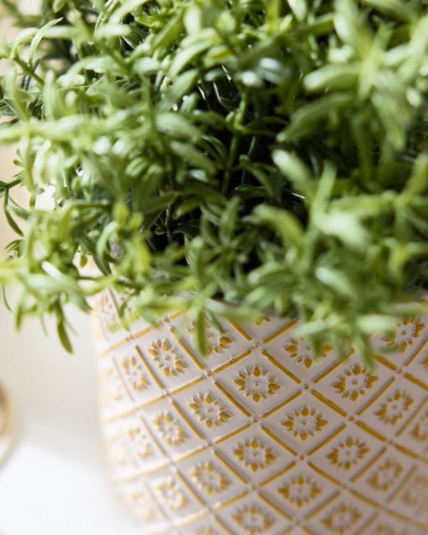 Dibor Corona Diamond Patterned Planters