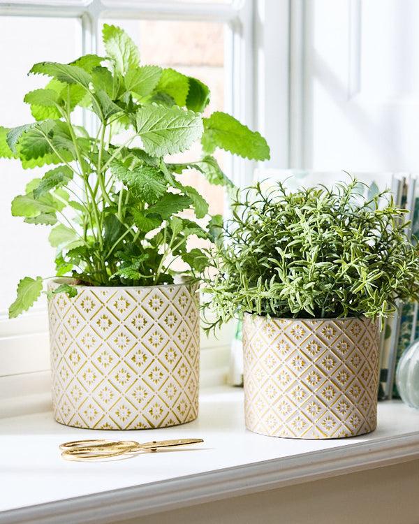 dibor Corona Diamond Patterned Planters