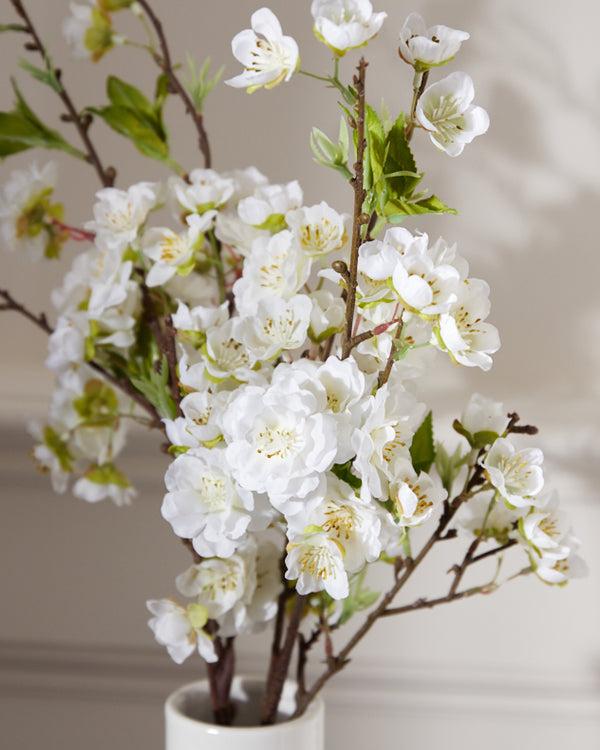 Dibor Cream Blossom Spray In Vase