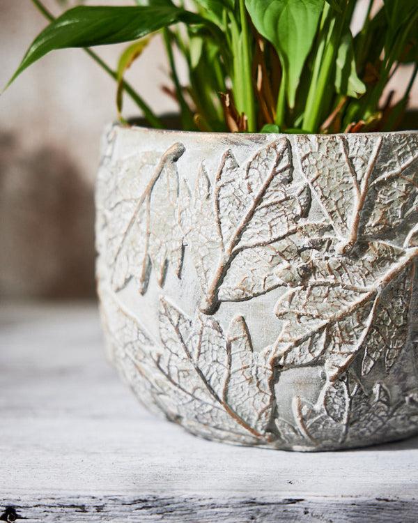 Dibor Daintree Large Plant Pot