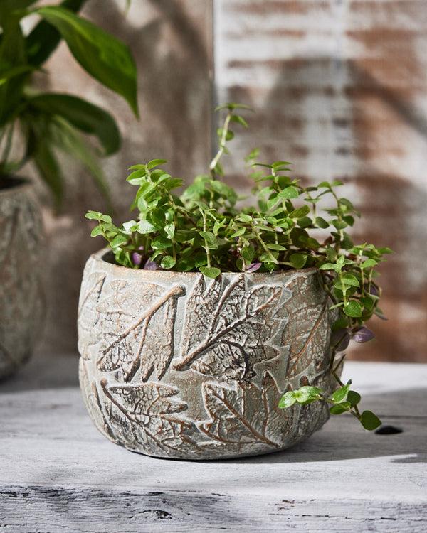 dibor Daintree Small Plant Pot