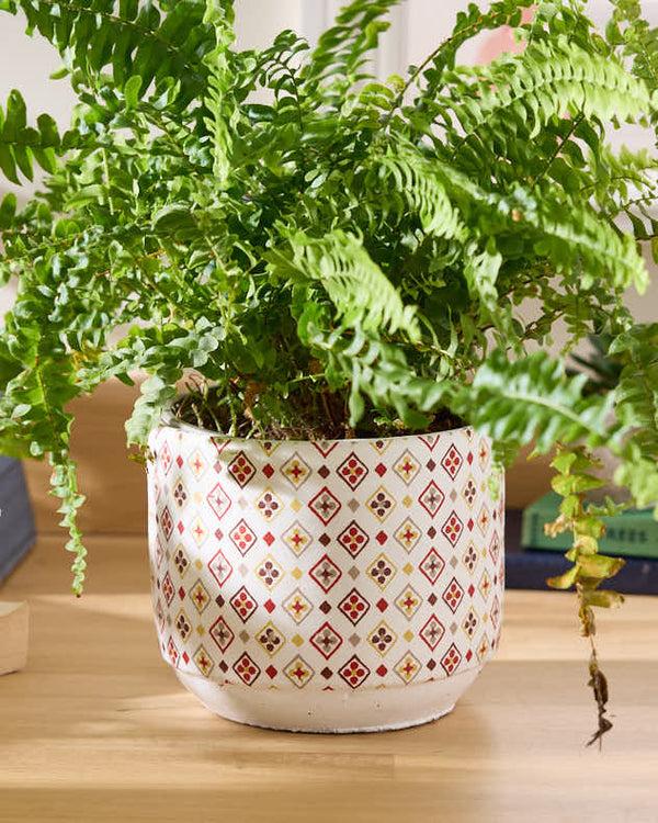dibor Diamond Mosaic Ceramic Planter