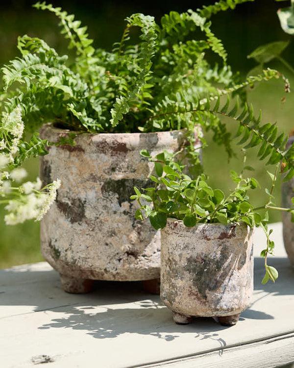 dibor Earthy Terracotta Footed Planters