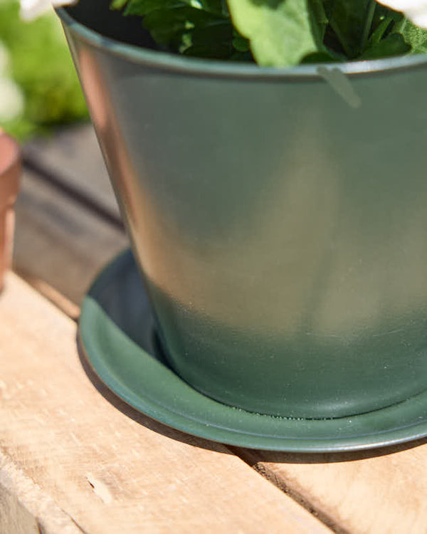Dibor Emerald Green Tea Cup Planter