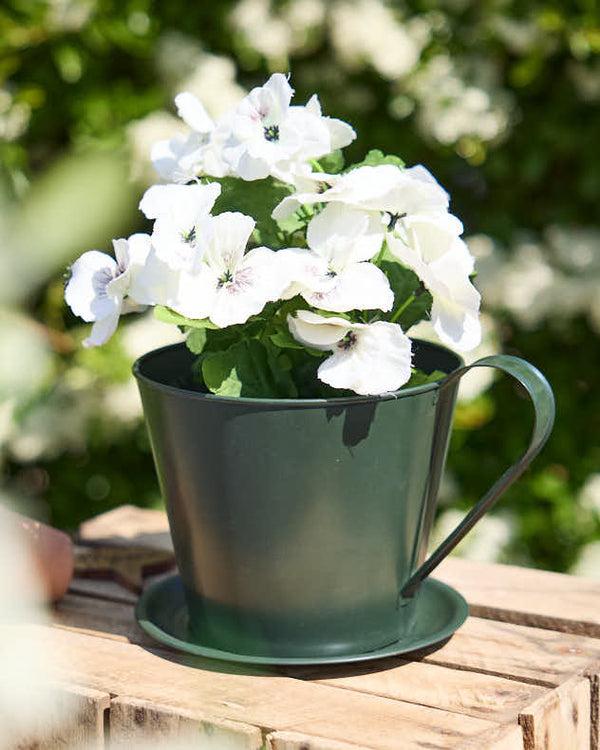 dibor Emerald Green Tea Cup Planter
