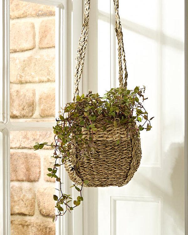 dibor Emery Seagrass Hanging Planter