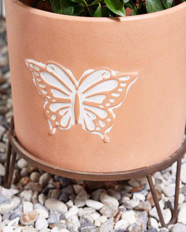 Dibor Erro Set Of 2 Insect Planters