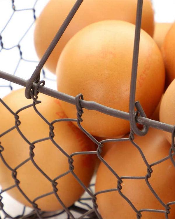 Dibor Farmhouse Chicken Wire Trug