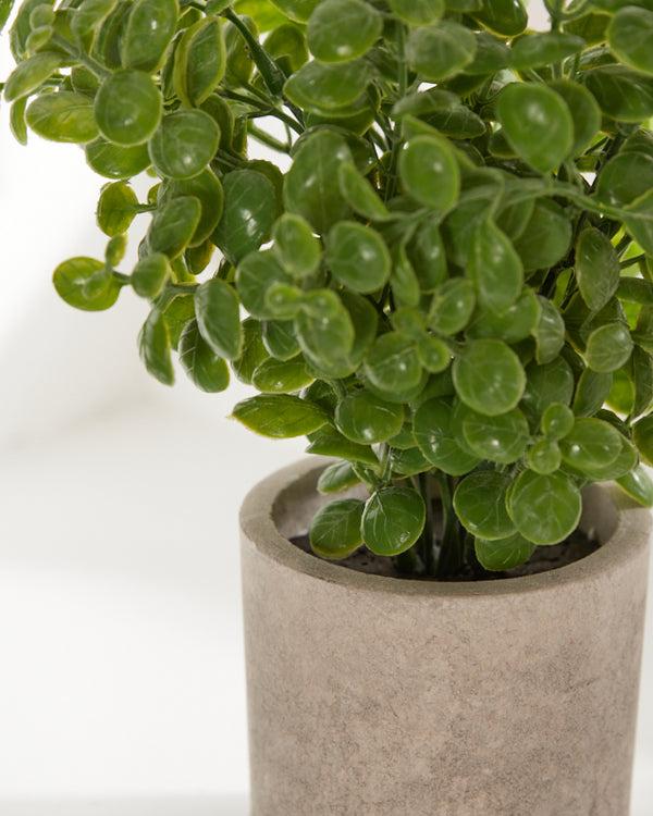 Dibor Faux Basil In Stone Finish Pot