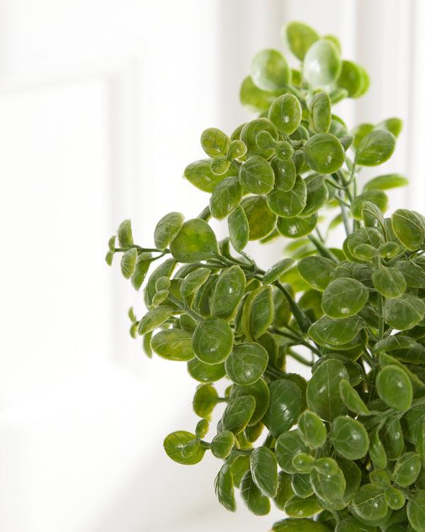 Dibor Faux Basil In Stone Finish Pot