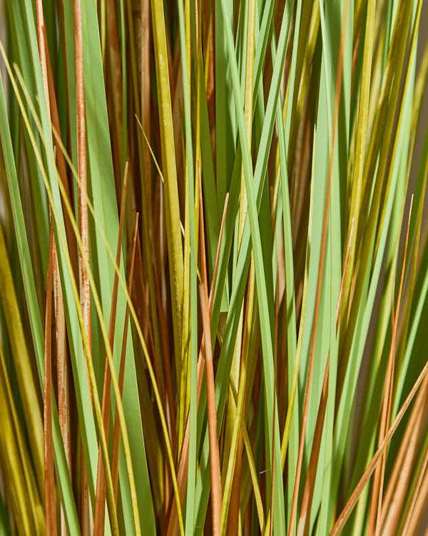 Dibor Faux Ravenna Grass Pot