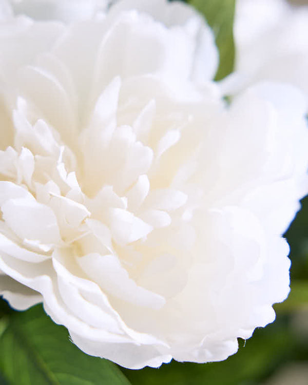 Dibor Faux White Peonies In Pot