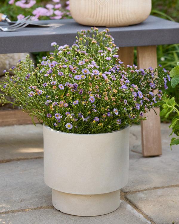 Dibor Fibre Clay Garden Planter Collection