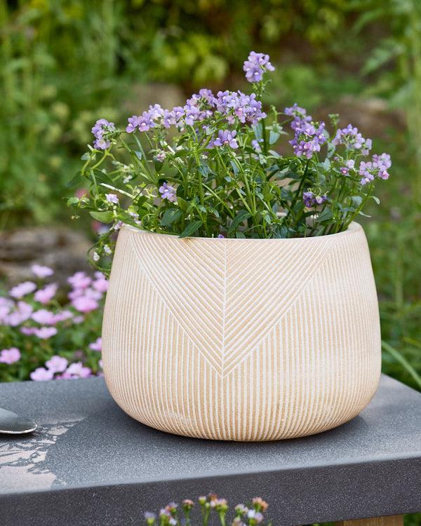 Dibor Fibre Clay Garden Planter Collection