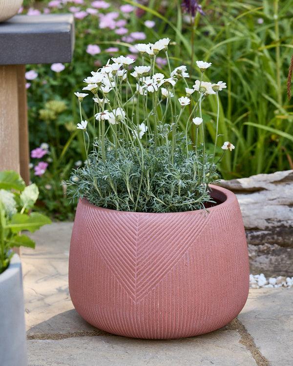 Dibor Fibre Clay Garden Planter Collection