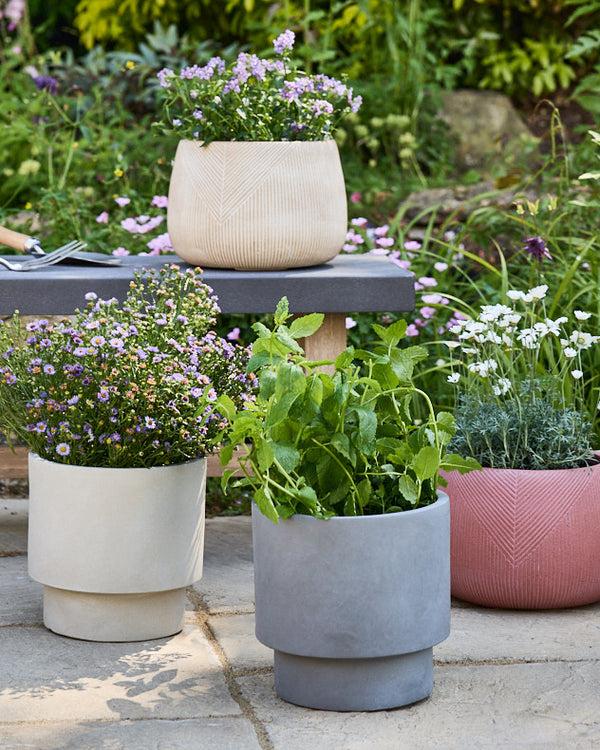 dibor Fibre Clay Garden Planter Collection