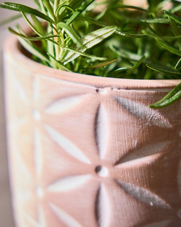 Dibor Floral Terracotta Footed Plant Pot