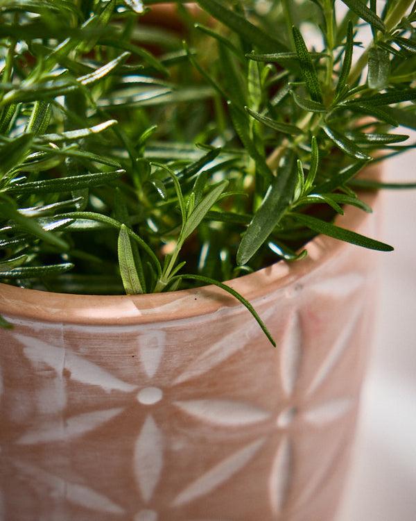 Dibor Floral Terracotta Footed Plant Pot