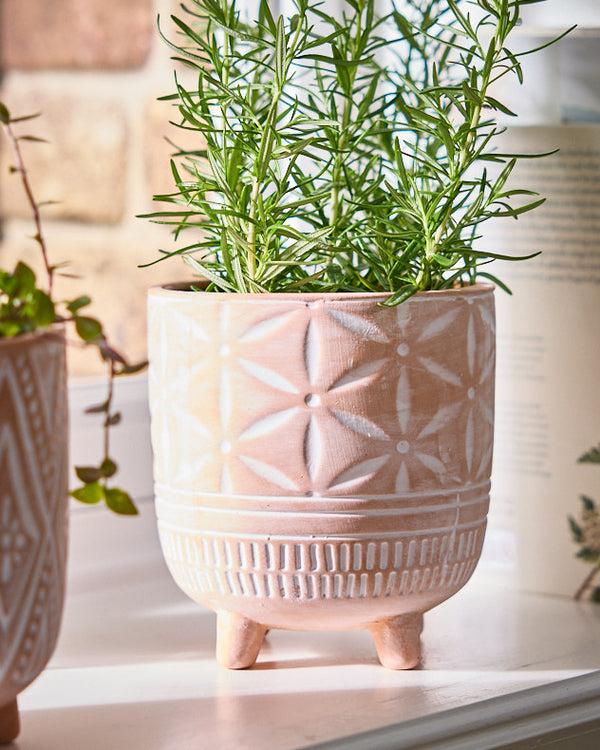 dibor Floral Terracotta Footed Plant Pot