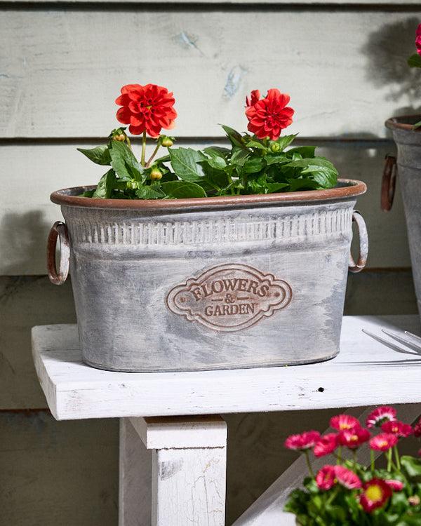Dibor Flowers & Garden Metal Planters