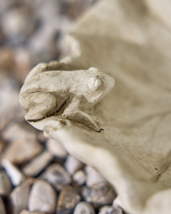 Dibor Frogs On Leaf Stone Bird Dish