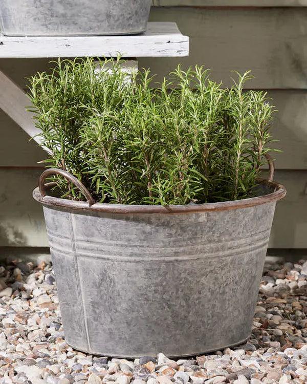 Dibor Galvanised Tub Planter